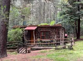 Magical Forest Cottage Escape!