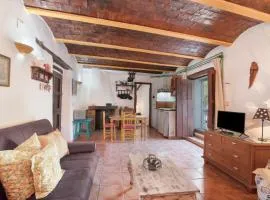 La Rana Verde de Abajo