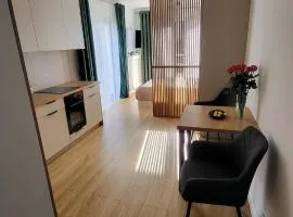 Apartament Anna przy Starówce