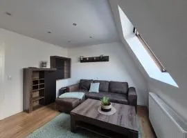 Mikra Homes24 in Zwickau