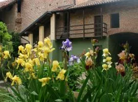 Studio Sforzesco