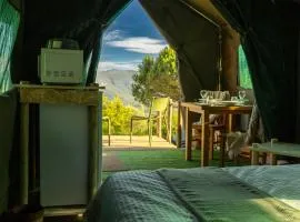 Safari Glamping Portugal Parrot