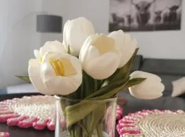 Stevenson Apartment in Oban City