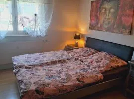 Ferienwohnung Jasmin in Schönau bei Heidelberg Fewo 1 mit Terrasse