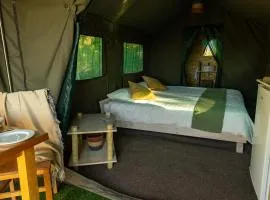 Safari Glamping Portugal Penguin