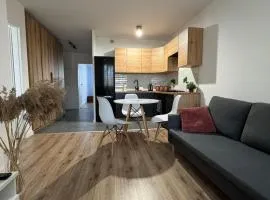 Tabago Studio 37 Wodzisław