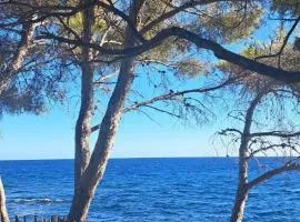 Mobil home St Aigulf europcamping 4 pers