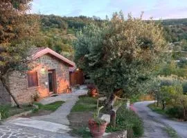 Villa Nigro - Suite Zagare