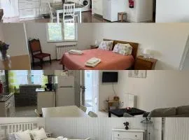 Casa de Casarelhos - Apartamento Piso 1 - Estúdio RC - "Gerês"