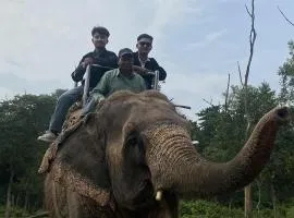 Tiffin Home and Restaurant