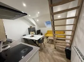 Le Pigeon Voyageur - 6p - Circuit - Rêve au Mans