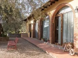 Il Pintello - Lo Scricciolo