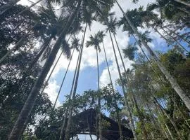 sahara dua jungle farmstay