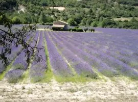 Camping Sainte-Jalle