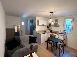 Studio sur un domaine d'oliviers