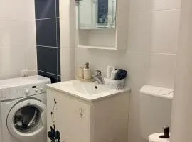 Cozy Apartment 150 m from Târgu Mureș Hospital