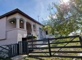 Casa bunicilor- liniștea prispei, răcoarea beciului și aerul poianei