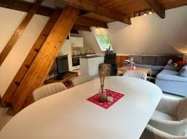 Twistesee Ferienhaus 42