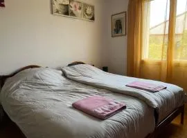 Chambre chez l'habitant