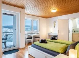 Schwarzwaldblick F App 6 mit Pool