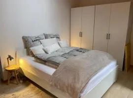 Gemütliches Atelier-Apartment 42qm, Küche und Bad