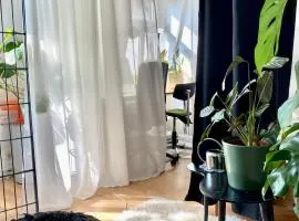 Cosy Sunset Flat - Kongress Palais & Herkules View