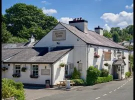 The Black Lion