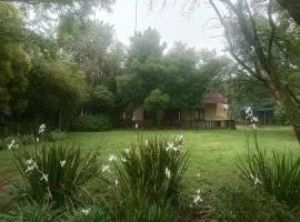 Sunflower Stables Cottage in the Garden