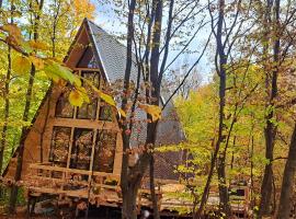 Cabana A-FRAME 3, feriehus i Curtea de Argeş