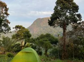 Tent Stay Paithalvillage
