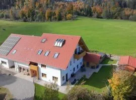 BaumKrone im Happy Allgäu - 2-stöckige Wohnung mit Wohnnetz