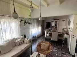 Chalet House in La Plata