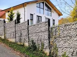 Casa Runcu Dambovita