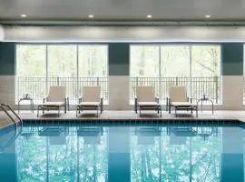 Holiday Inn Express Durango Downtown- Animas River