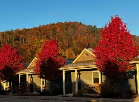 Vista Lodge Benton PA near Ricketts Glen State Park, hotel in Benton
