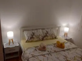 stancicmilena
