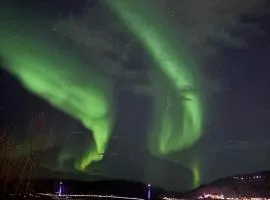 Ankenes Romutleie AS