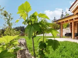 Franz Josefs Chalets