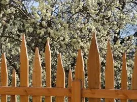 Aschnerhof Auf´m Egg