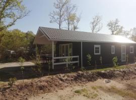 Comfortable forest lodge with open space, hotel in Balkbrug