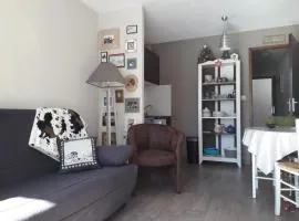 Studio charmant avec terrasse et parking au Praz de Lys - FR-1-815-19