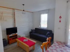 Appartement confortable au pied des pistes - 4 pers - FR-1-834-16