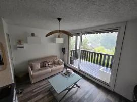 Charmant studio rénové à Pra-Loup 1500 avec parking - FR-1-165A-208