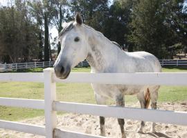 Wine Country Ranch Escape, hotel in Buellton