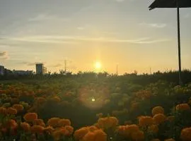 Pickleball Golf valley