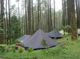 Lembah Pinus Cikole