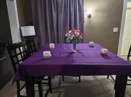 Spacious and Cozy 4-Bedroom Home in the heart of MSP