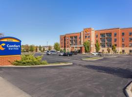 Comfort Suites Florence - Cincinnati South, hotel en Florence