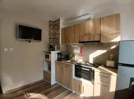 LS Central 2 Apartment