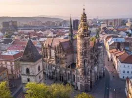 Lovely flat in a great location